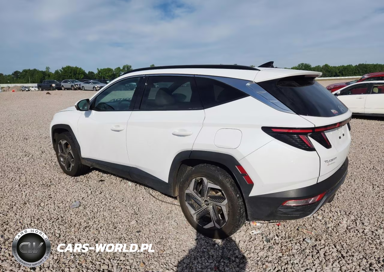 2024 Hyundai Tucson Limited VIN:KM8JFDD27RU153708 - 2