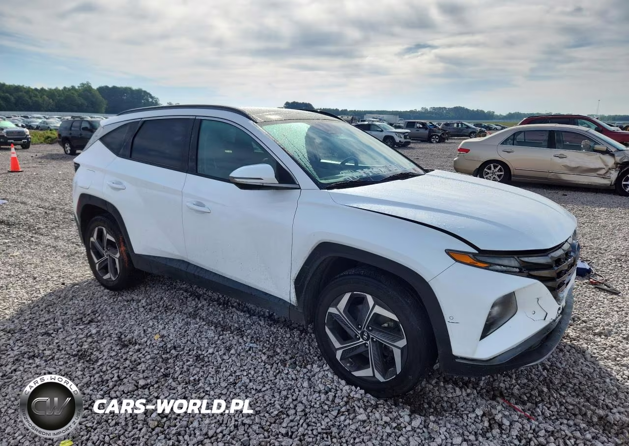 2024 Hyundai Tucson Limited VIN:KM8JFDD27RU153708 - 4