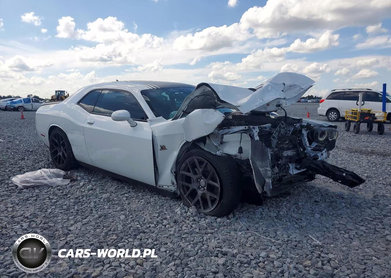 2016 Dodge Challenger R VIN:2C3CDZFJ7GH255020 - 4