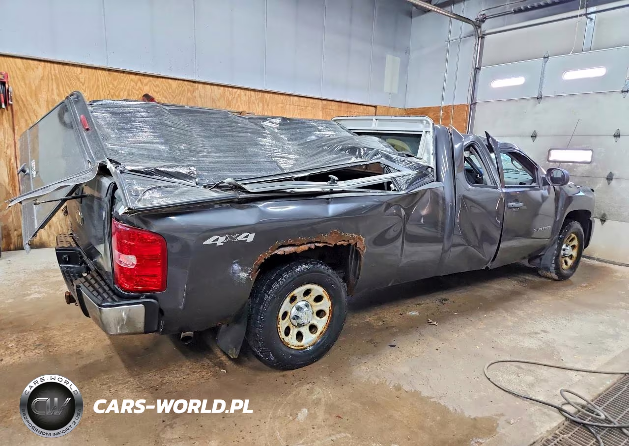 2010 Chevrolet Silverado K1500 VIN:1GCSKPE05AZ244518 - 3