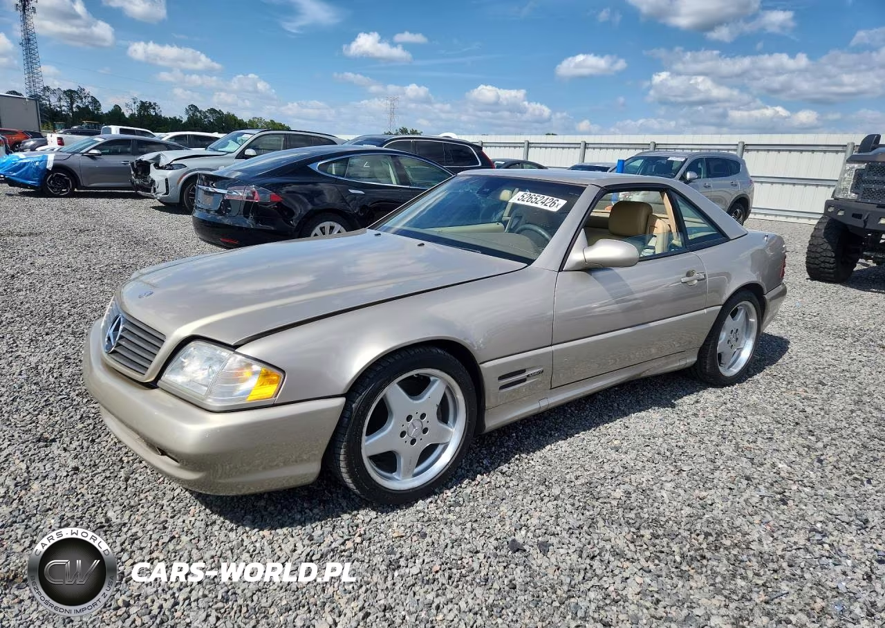 1999 Merz Sl500