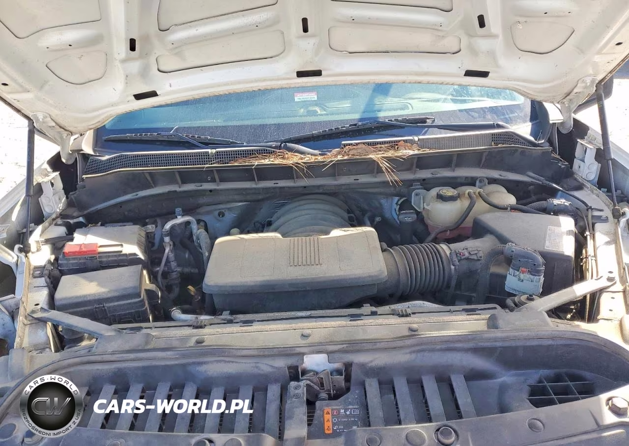 2019 Chevrolet Silverado C1500 VIN:1GCRWAEF2KZ176684 - 11