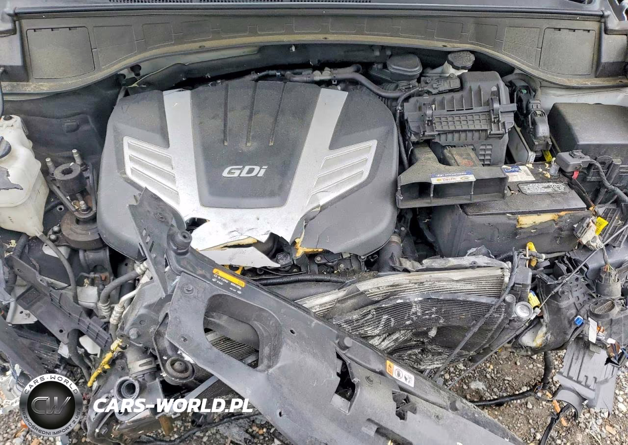 2017 Hyundai Santa Fe Se Ultimate VIN:KM8SRDHF2HU202076 - 12