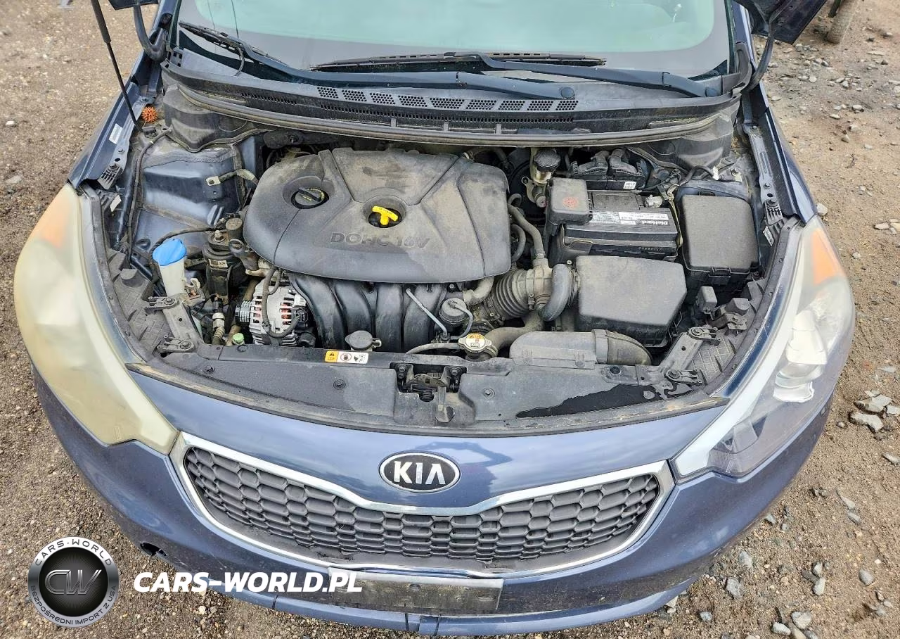 2015 Kia Forte Lx VIN:KNAFX4A65F5354220 - 11