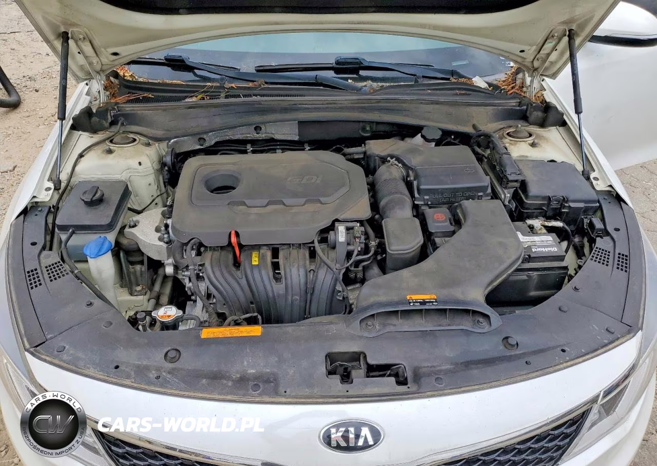 2016 Kia Optima Lx VIN:KNAGT4L31G5084004 - 11