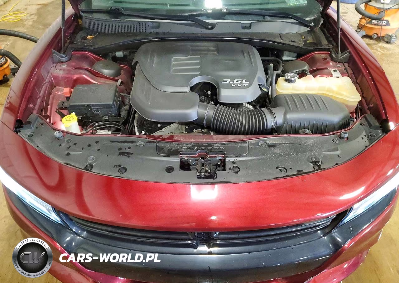 2019 Dodge Charger Sxt VIN:2C3CDXJG4KH656100 - 11