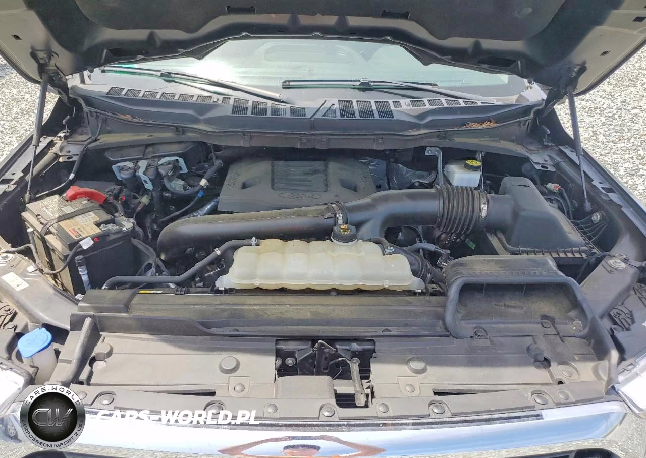 2023 Ford F150 Supercrew VIN:1FTFW1E82PFA51861 - 12