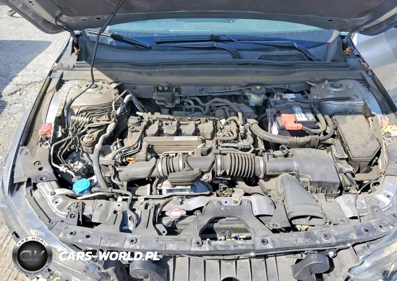 2019 Honda Accord Lx VIN:1HGCV1F11KA118612 - 11