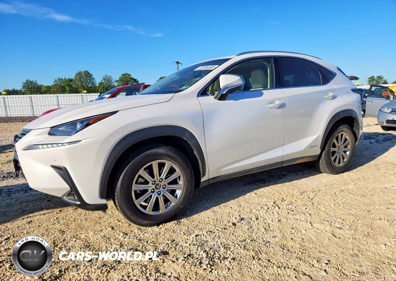 2019 Lexus Nx 300H – zdjęcie 1 z 13