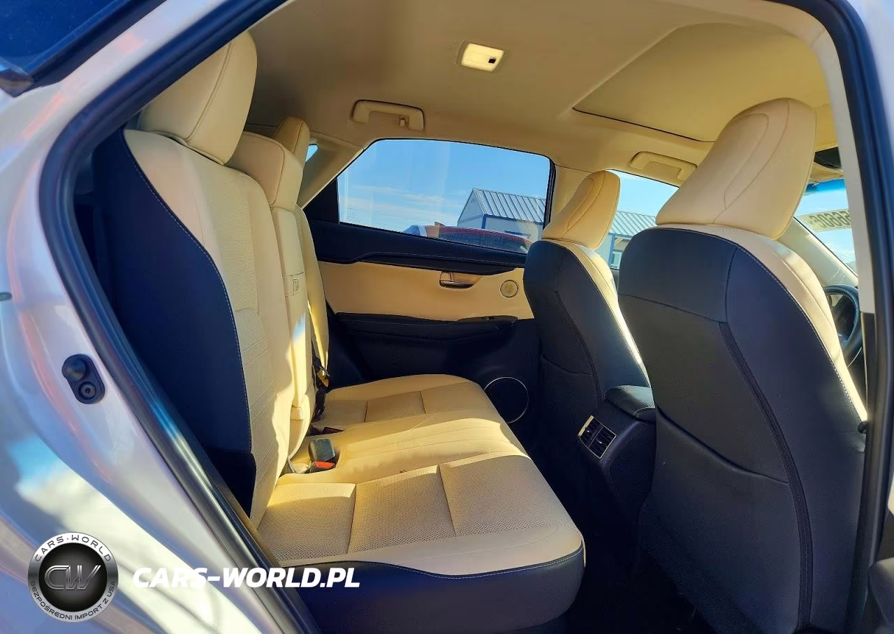 2019 Lexus Nx 300H VIN:JTJBJRBZ9K2124469 - 11