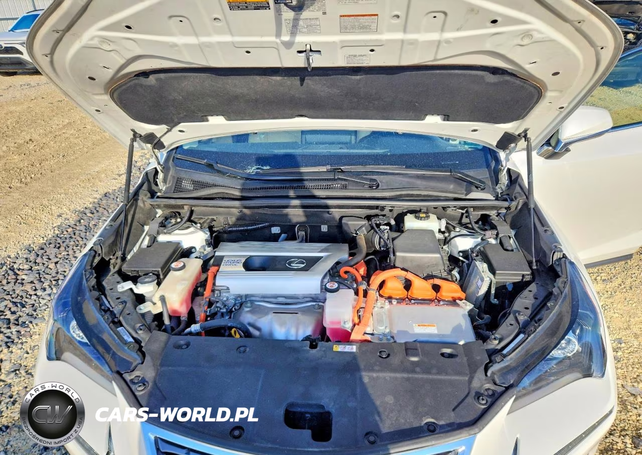 2019 Lexus Nx 300H VIN:JTJBJRBZ9K2124469 - 12