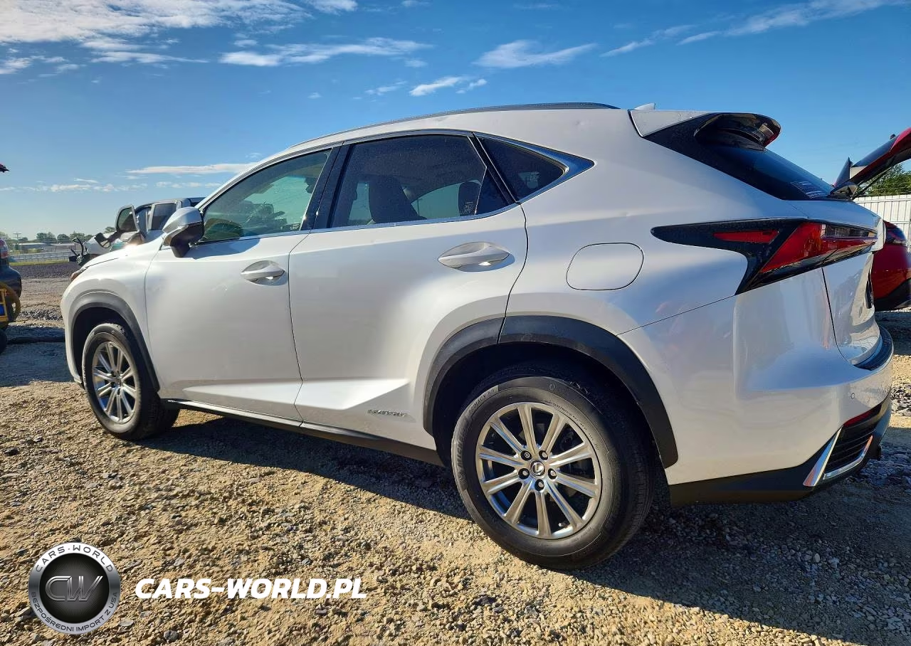 2019 Lexus Nx 300H VIN:JTJBJRBZ9K2124469 - 2