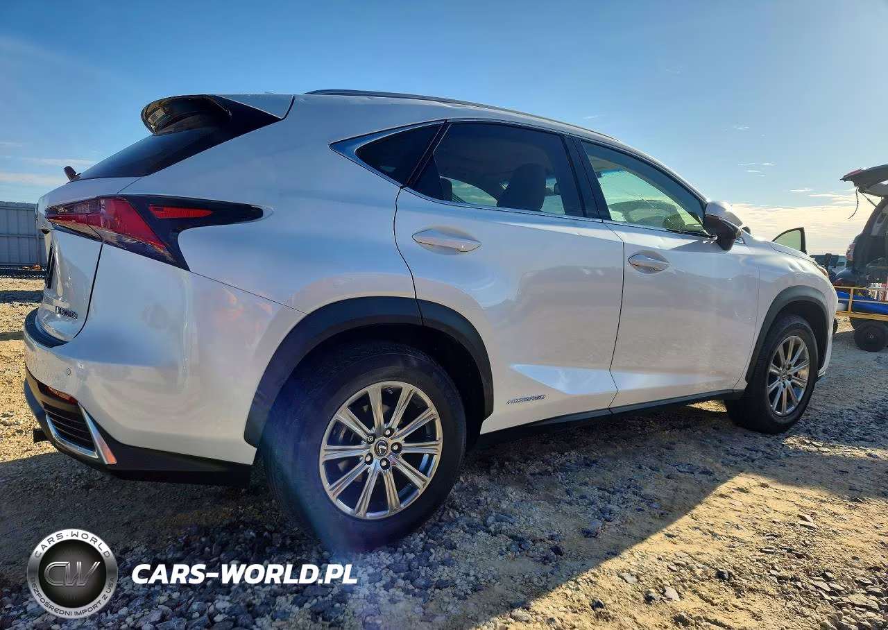 2019 Lexus Nx 300H VIN:JTJBJRBZ9K2124469 - 3
