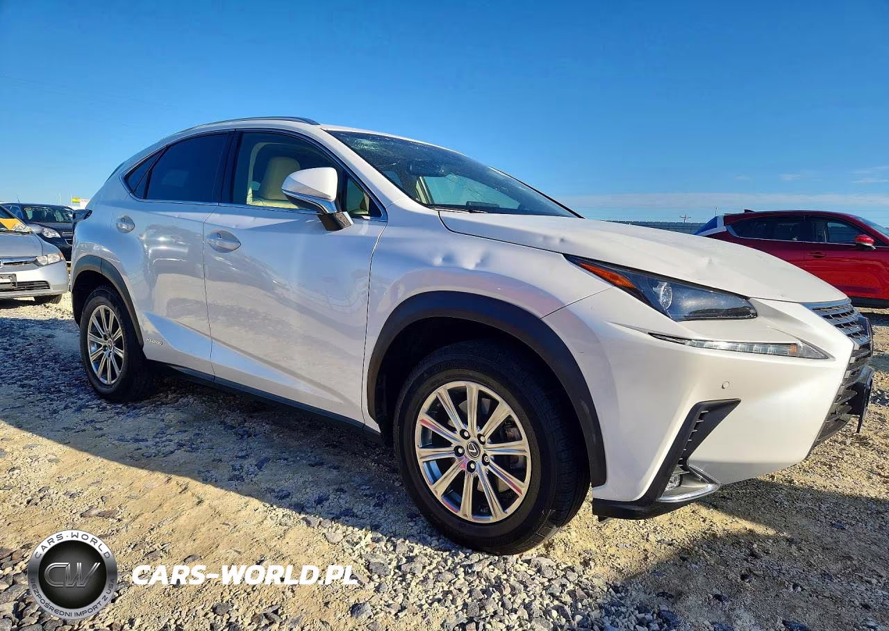 2019 Lexus Nx 300H VIN:JTJBJRBZ9K2124469 - 4
