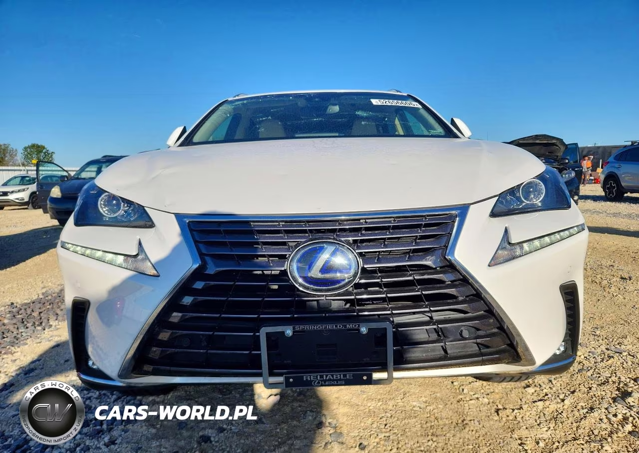 2019 Lexus Nx 300H VIN:JTJBJRBZ9K2124469 - 5