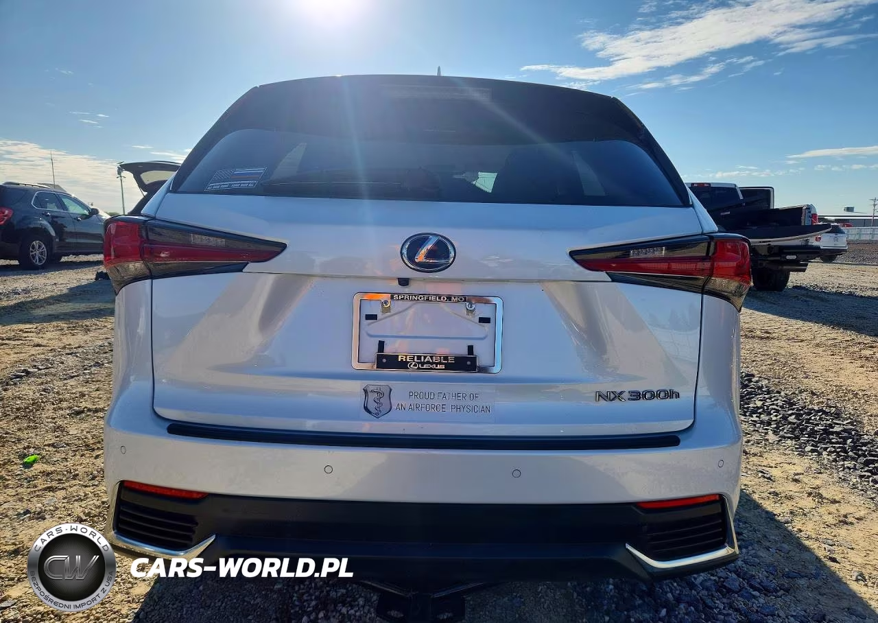 2019 Lexus Nx 300H VIN:JTJBJRBZ9K2124469 - 6