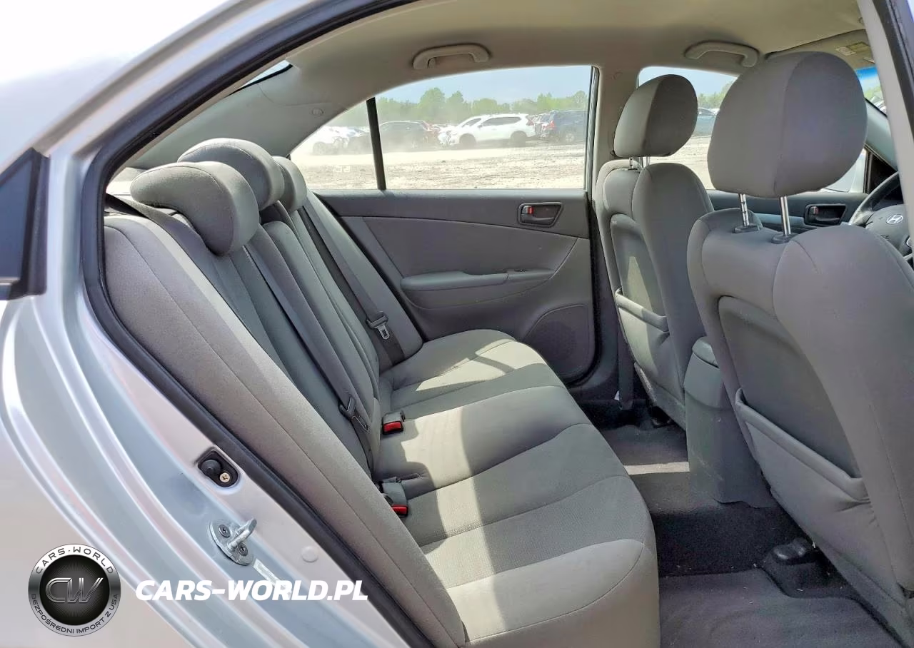 2010 Hyundai Sonata Gls VIN:5NPET4AC5AH616889 - 10