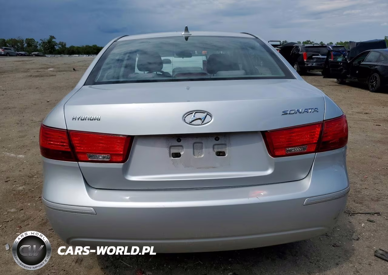 2010 Hyundai Sonata Gls VIN:5NPET4AC5AH616889 - 6