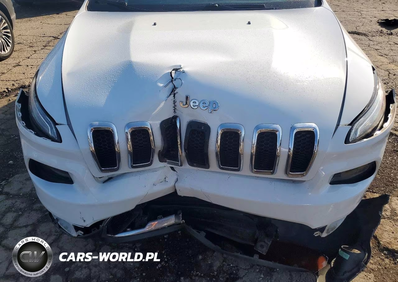 2017 Jeep Cherokee Limited VIN:1C4PJMDS1HW655923 - 12