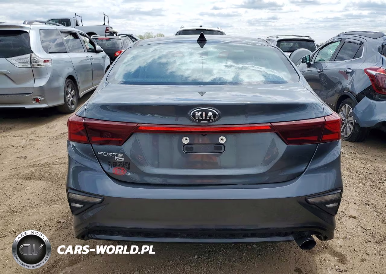 2020 Kia Forte Fe VIN:3KPF24AD3LE192331 - 6