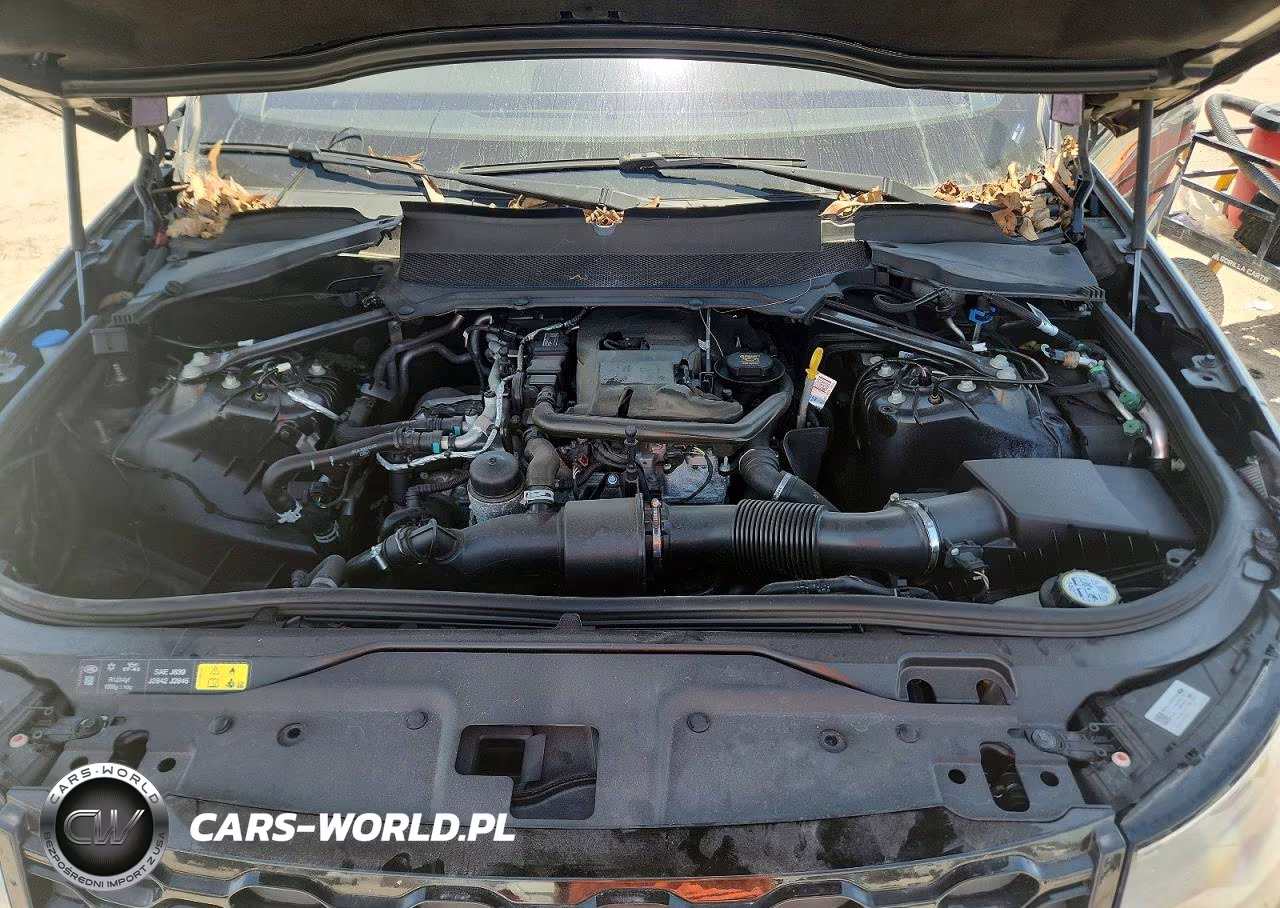 2022 Land Rover Discovery S R-Dynamic VIN:SALRT2EX2N2459924 - 12