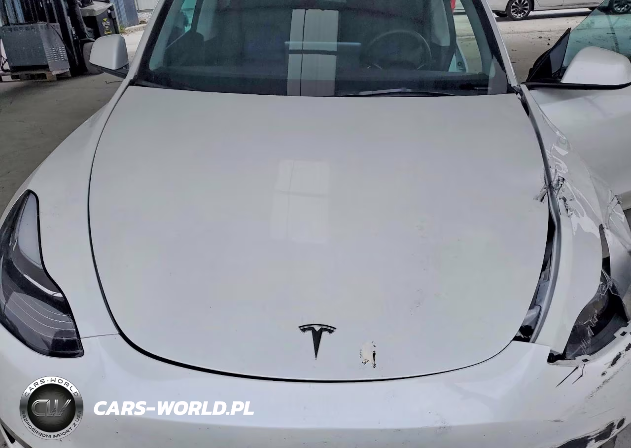 2023 Tesla Model Y VIN:7SAYGDEE8PA083117 - 11