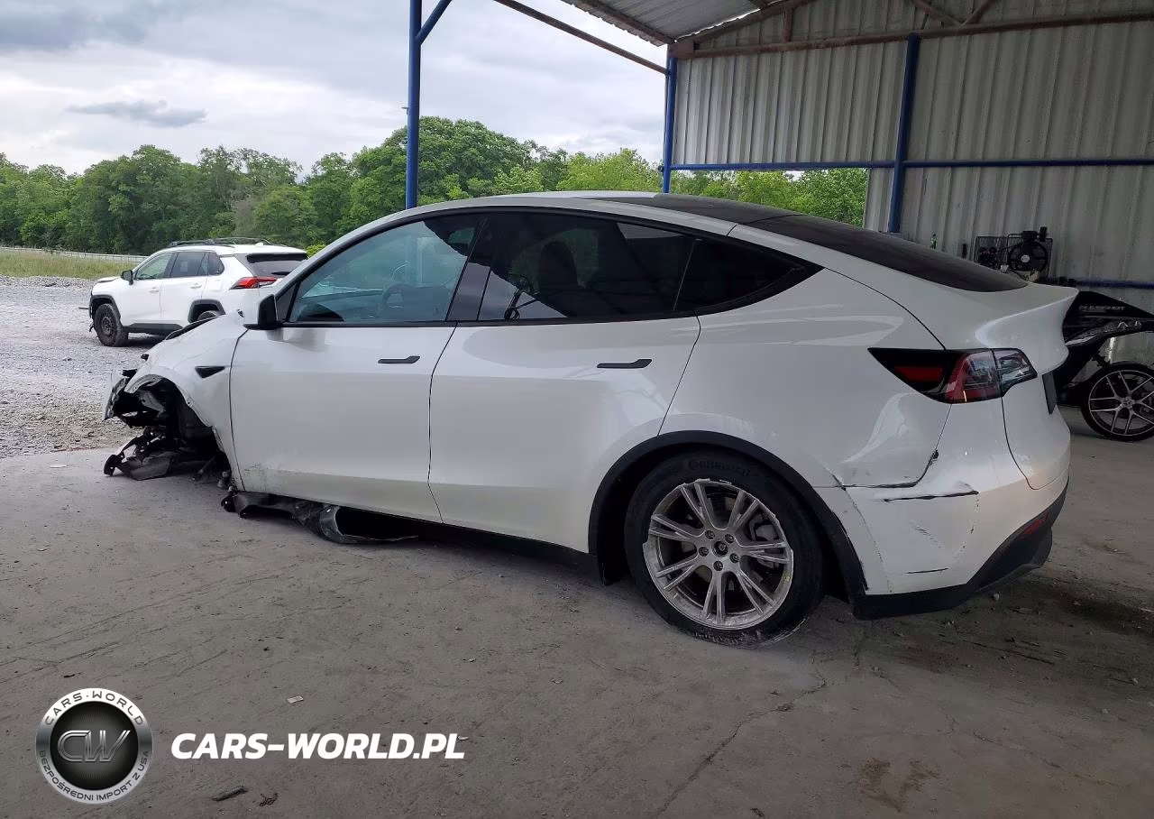 2023 Tesla Model Y VIN:7SAYGDEE8PA083117 - 2