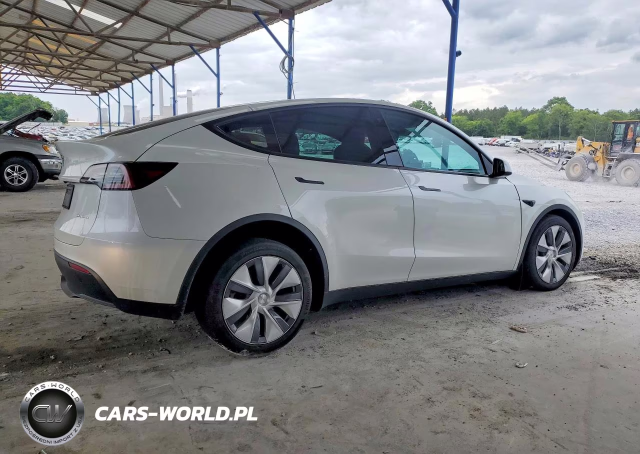 2023 Tesla Model Y VIN:7SAYGDEE8PA083117 - 3