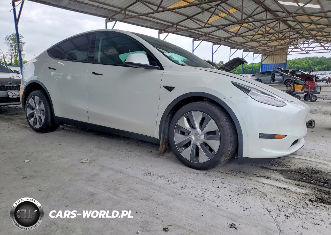 2023 Tesla Model Y VIN:7SAYGDEE8PA083117 - 4