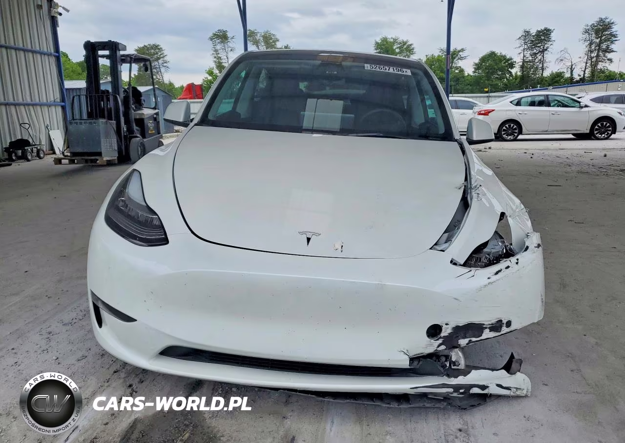 2023 Tesla Model Y VIN:7SAYGDEE8PA083117 - 5