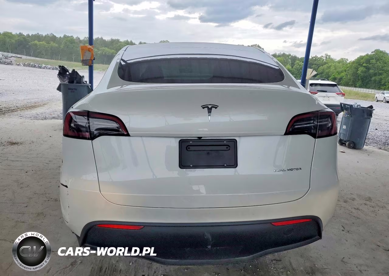 2023 Tesla Model Y VIN:7SAYGDEE8PA083117 - 6