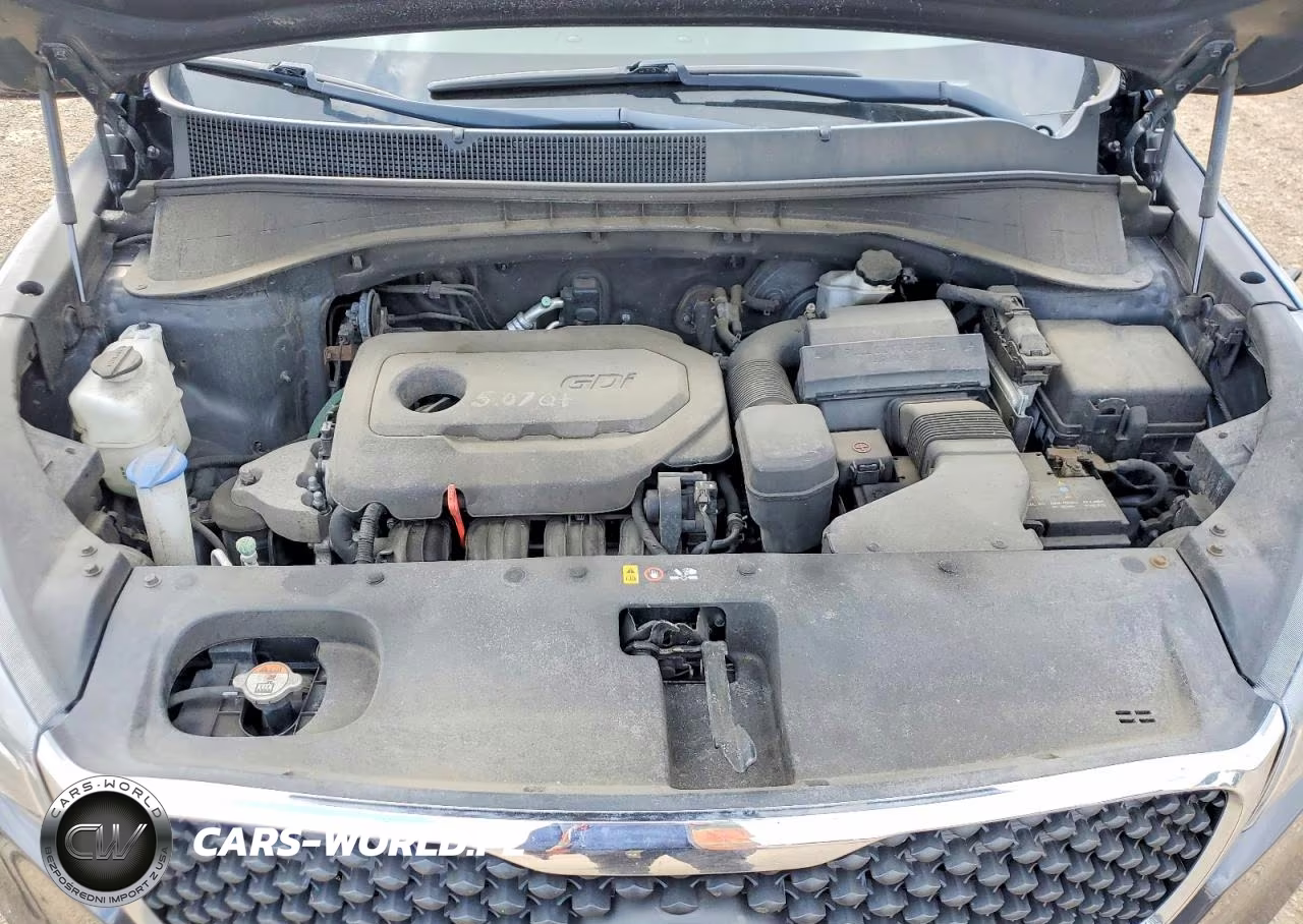 2017 Kia Sorento Lx VIN:5XYPGDA31HG300209 - 11