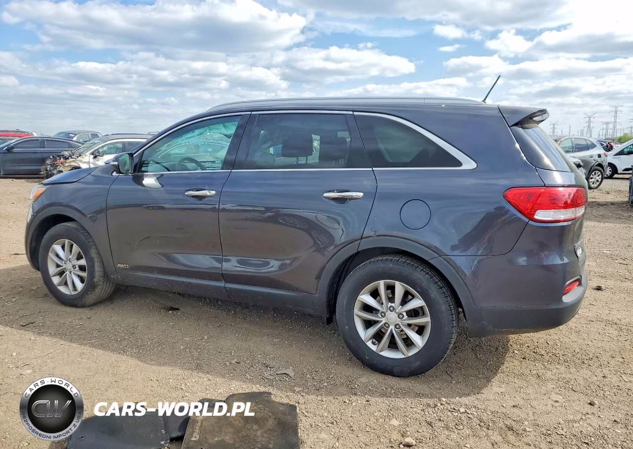 2017 Kia Sorento Lx VIN:5XYPGDA31HG300209 - 2
