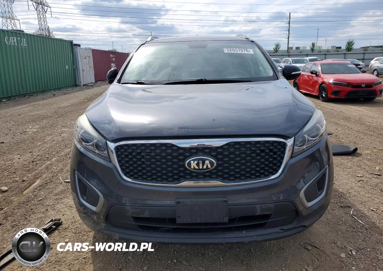 2017 Kia Sorento Lx VIN:5XYPGDA31HG300209 - 5