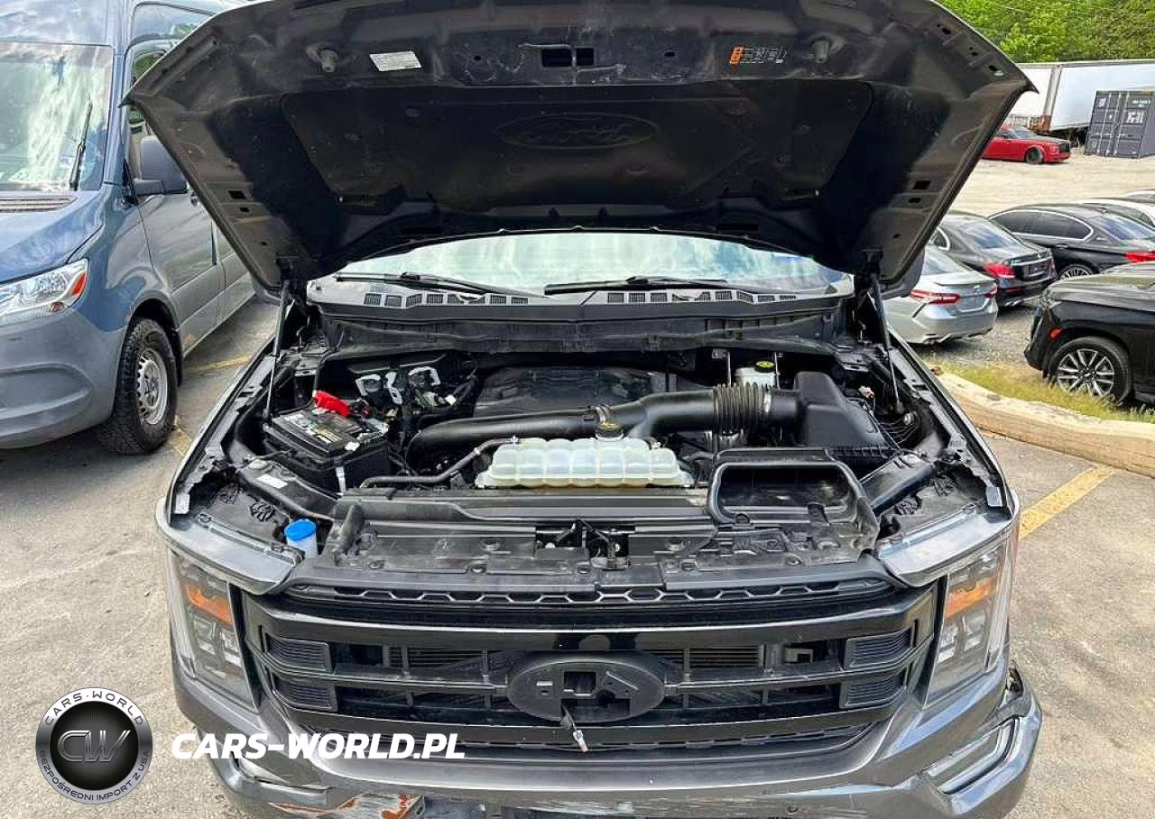 2023 Ford F150 Supercrew VIN:1FTFW1E81PFA95091 - 9