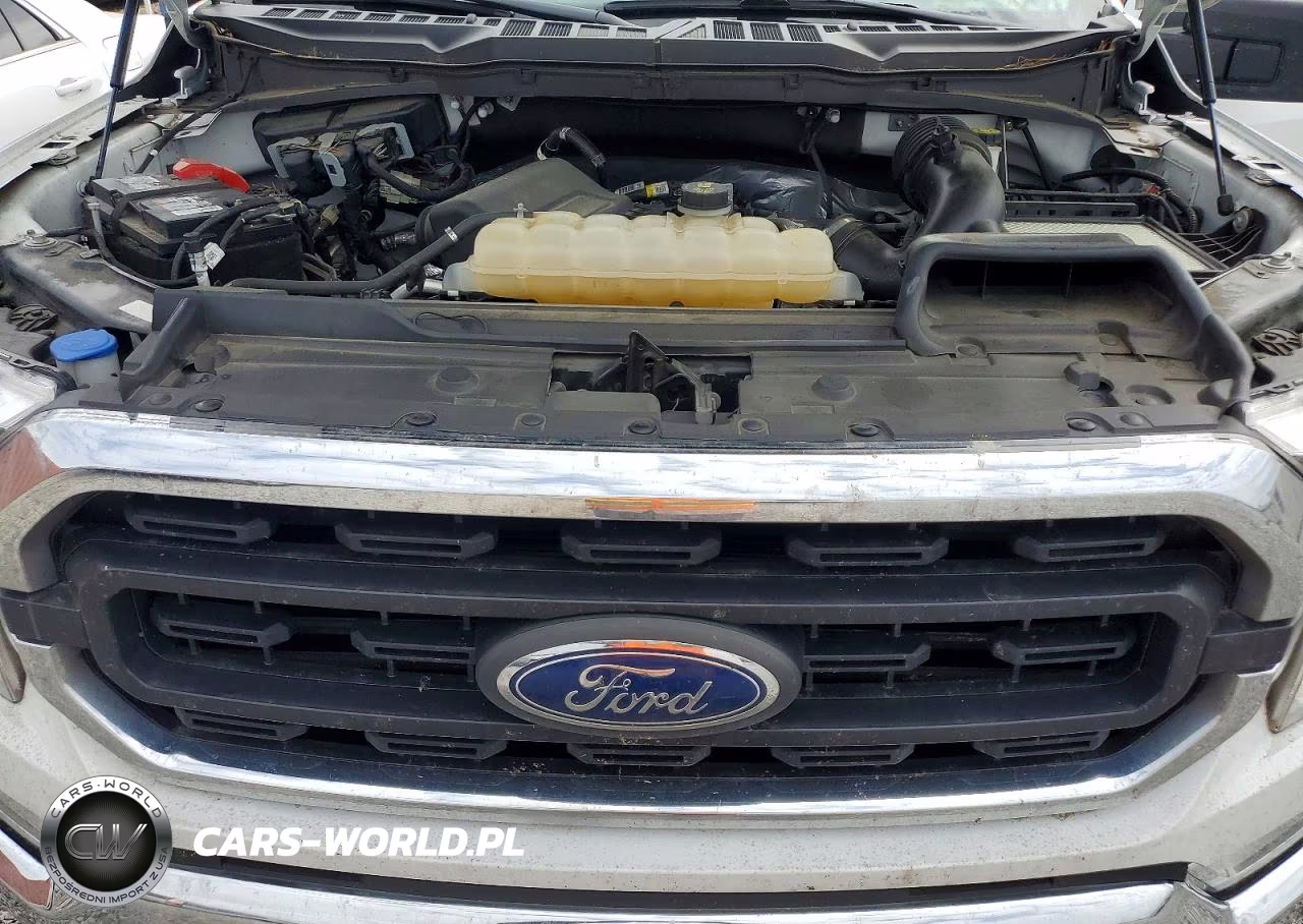 2021 Ford F150 Supercrew VIN:1FTEW1CPXMKF05234 - 11