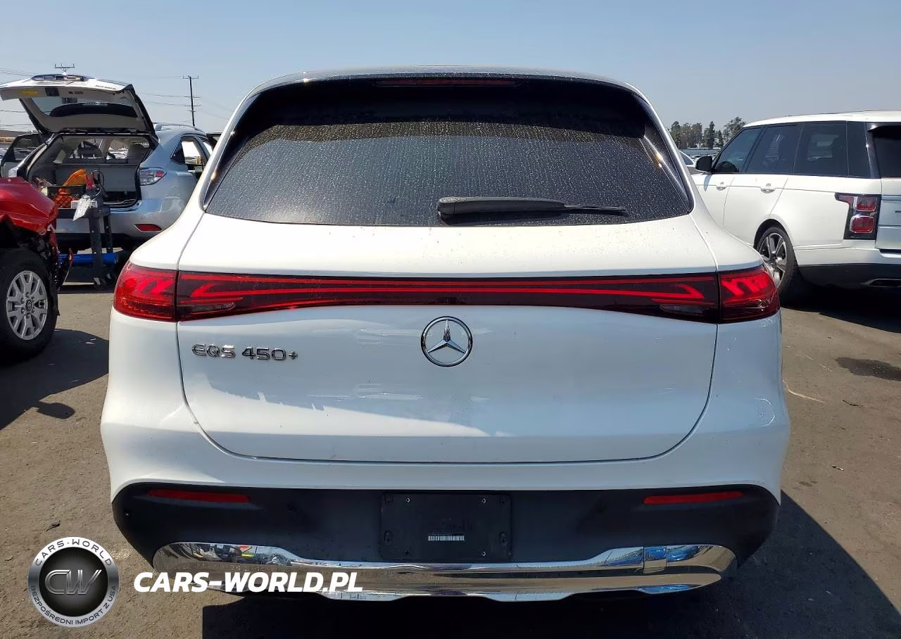 2023 Mercedes-Benz Eqs Suv 450+ VIN:4JGDM2DB9PA022513 - 6