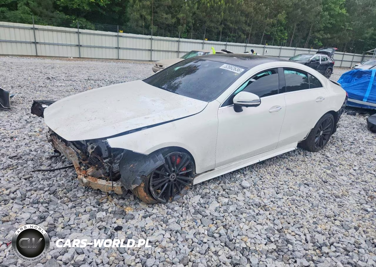 2019 Mercedes-Benz Cls 450