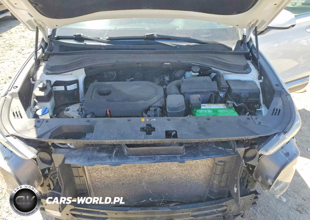 2019 Hyundai Santa Fe Sel 2.4L VIN:5NMS33AD7KH005976 - 12