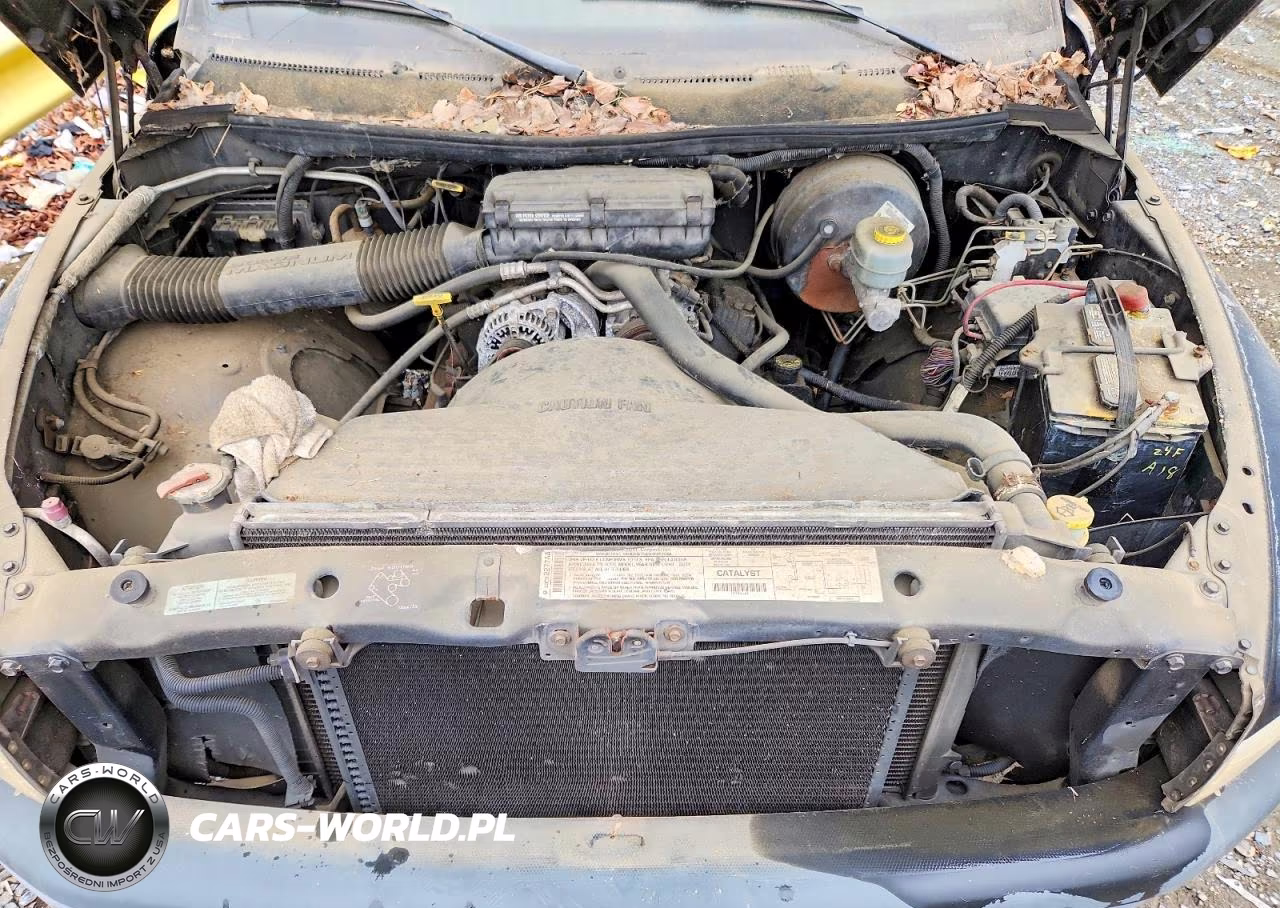 2000 Dodge Ram 1500 VIN:1B7HC16X3YS509584 - 11