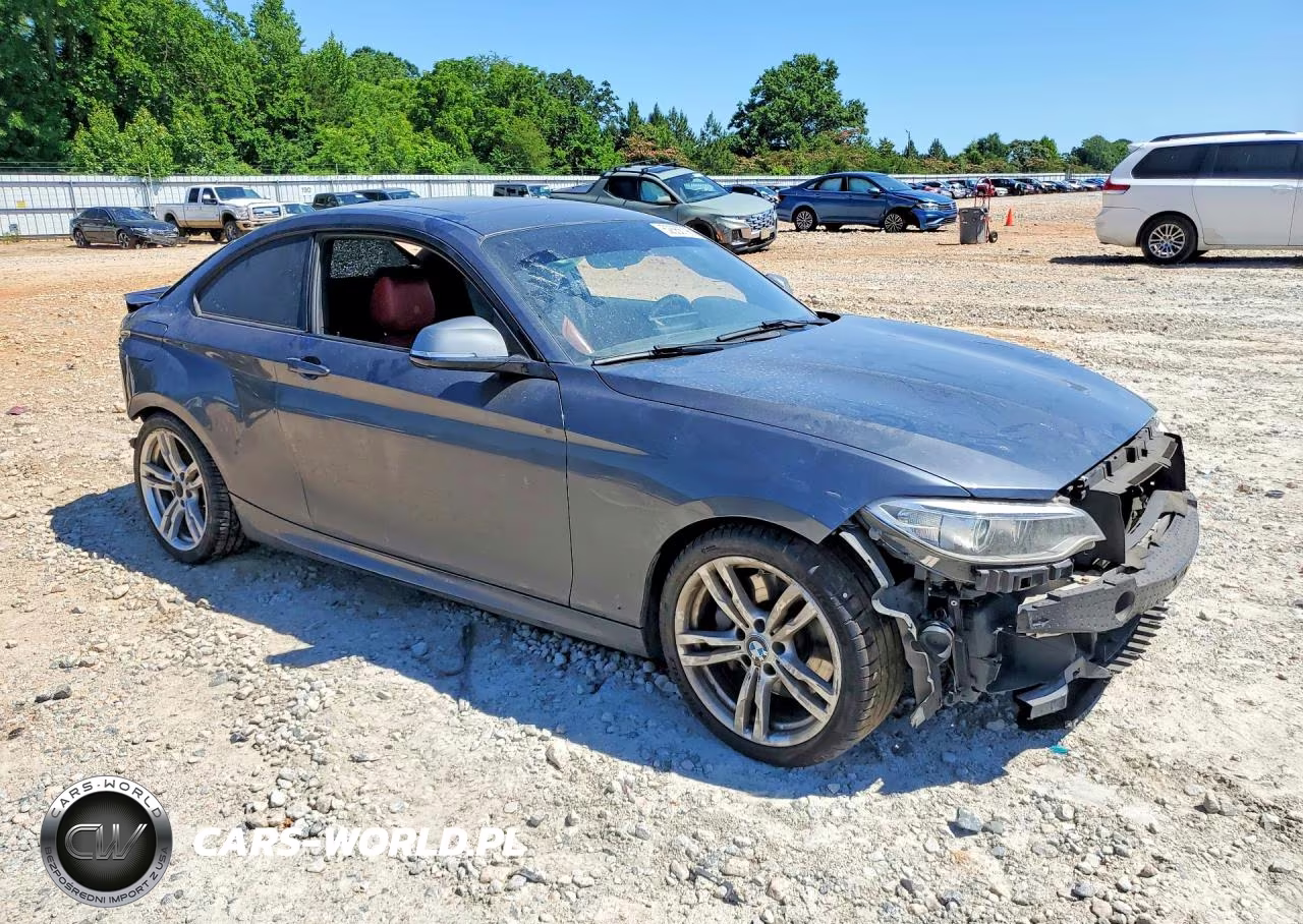 2016 BMW M235I VIN:WBA1J7C52GV359443 - 4