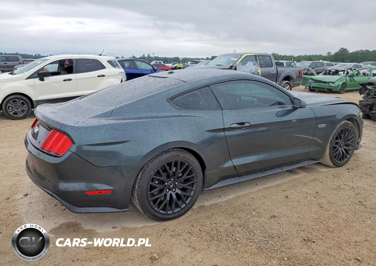 2016 Ford Mustang Gt VIN:1FA6P8CFXG5256315 - 3
