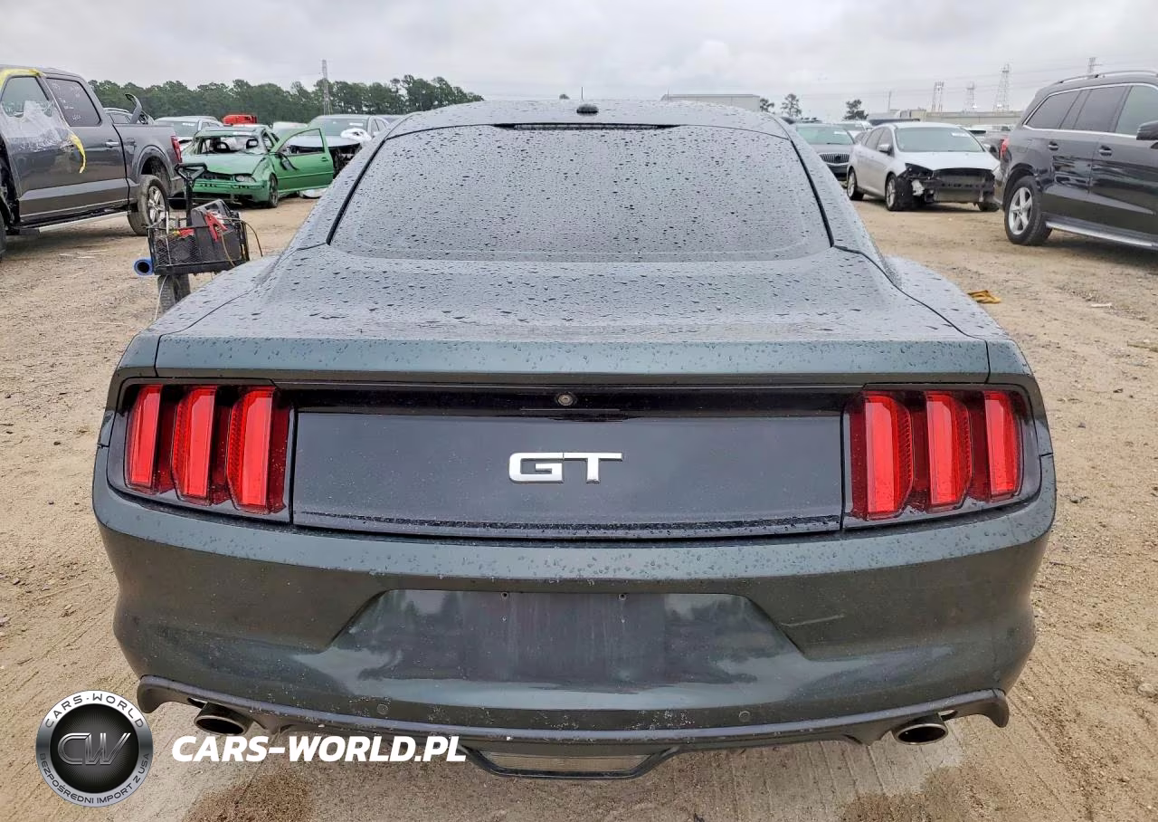 2016 Ford Mustang Gt VIN:1FA6P8CFXG5256315 - 6