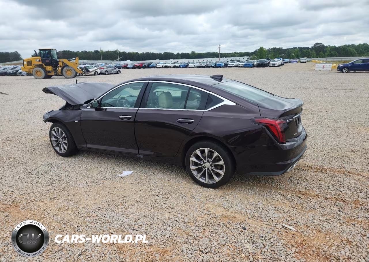 2022 Cadillac Ct5 Premium Luxury VIN:1G6DT5RK9N0109500 - 2
