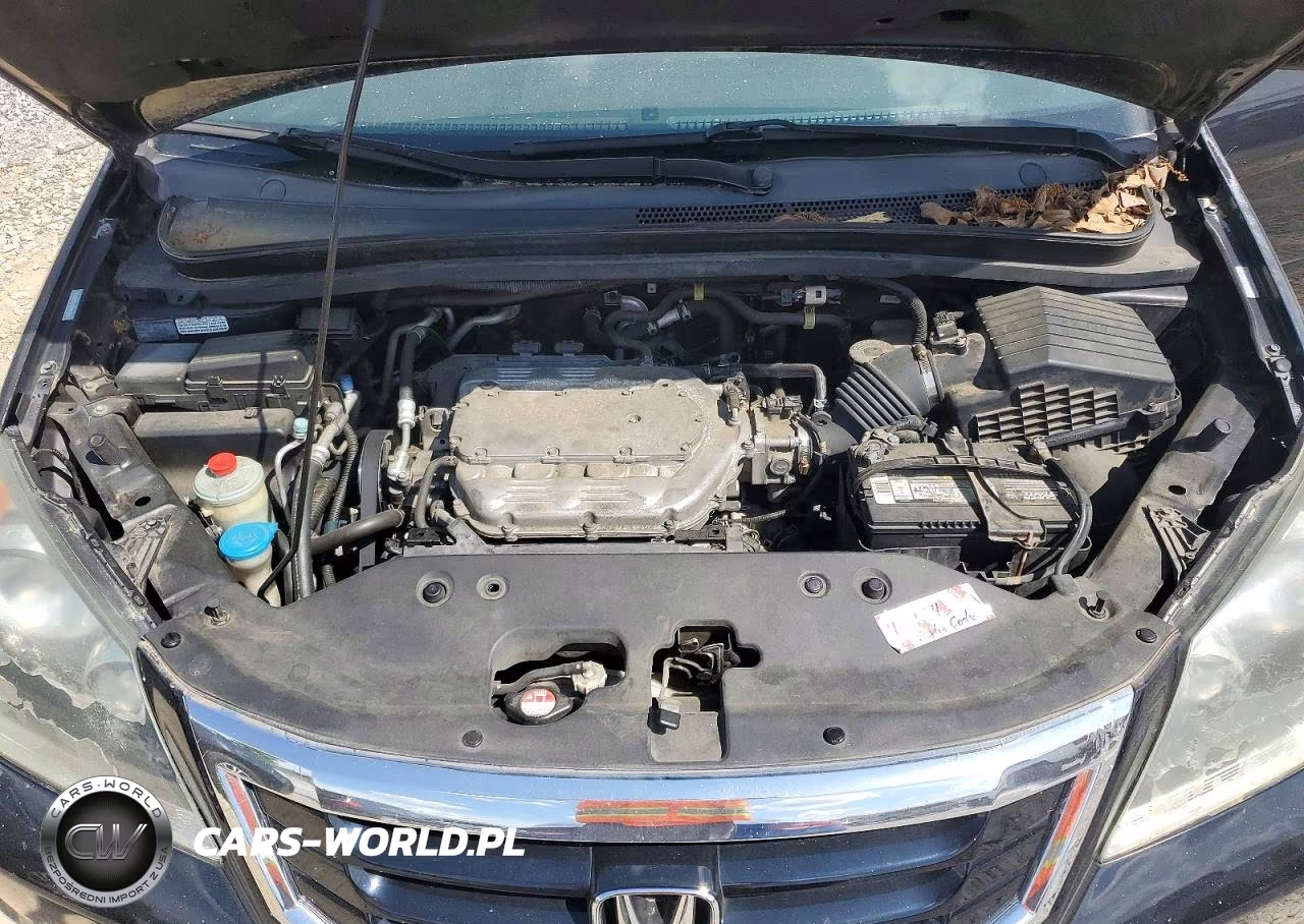 2009 Honda Odyssey Exl VIN:5FNRL38769B014971 - 12