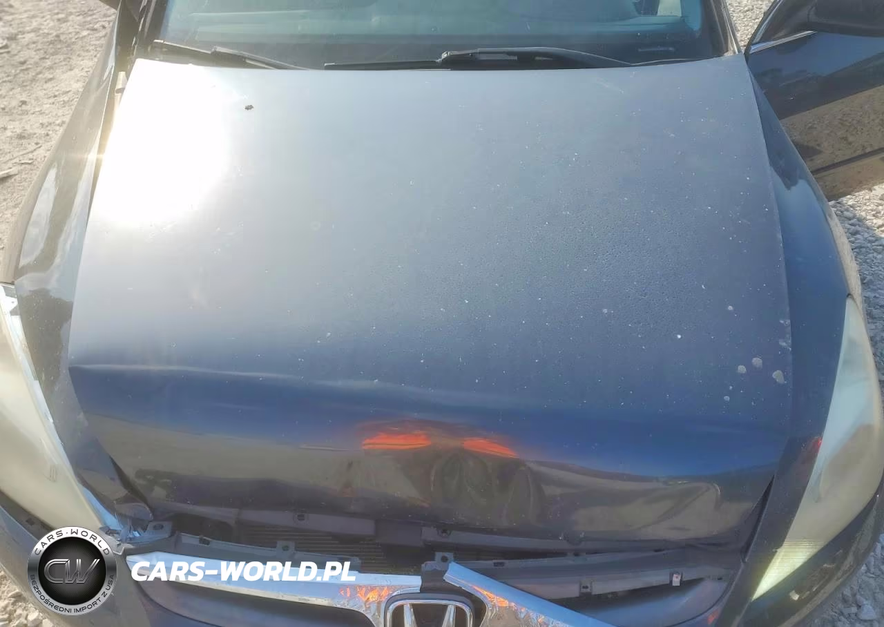 2007 Honda Accord Ex VIN:1HGCM66527A065039 - 11