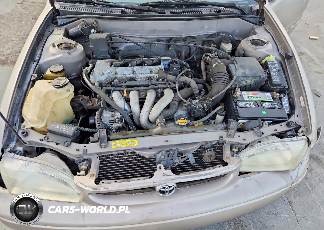 2000 Toyt Corolla VIN:2T1BR12E4YC304821 - 11