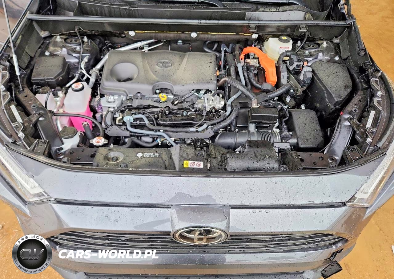2025 Toyota Rav4 Le VIN:JTMLWRFV6SD341529 - 12