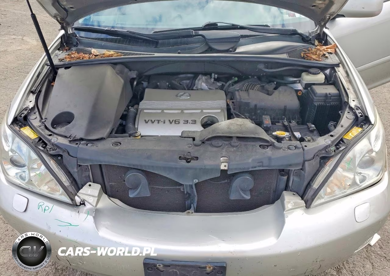 2005 Lexus Rx 330 VIN:2T2HA31U95C082676 - 11