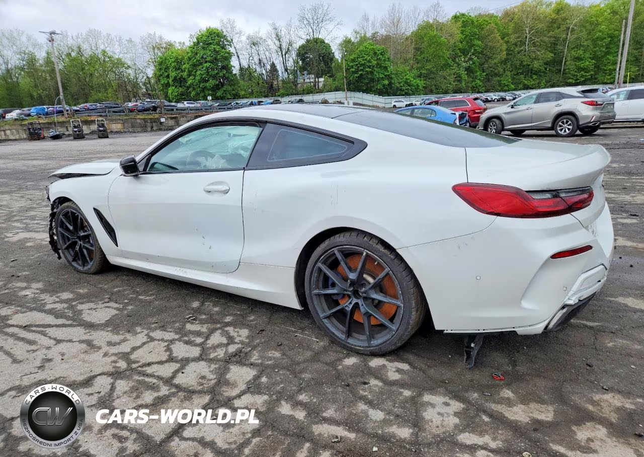 2020 BMW M850Xi VIN:WBABC4C03LCE08899 - 2